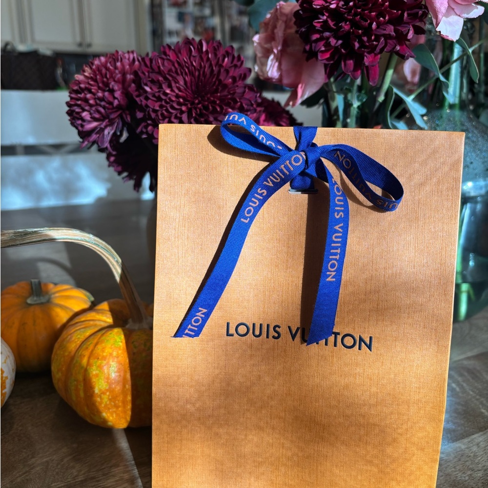 Small Louis Vuitton Gift Bag